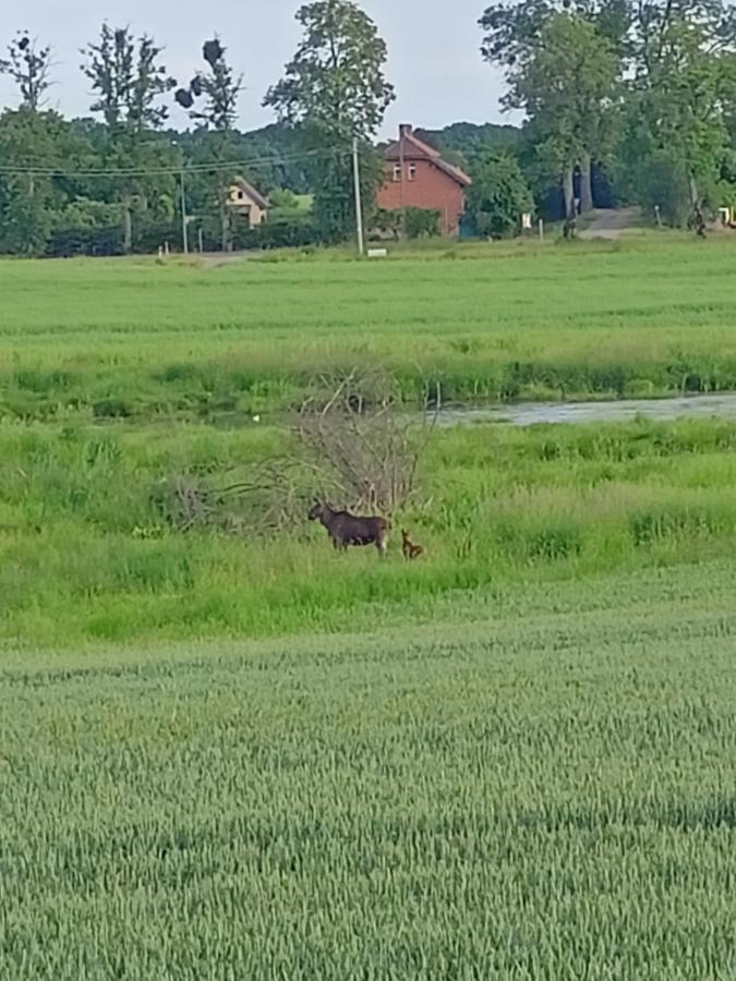 Swierkowe Siedlisko Holiday home